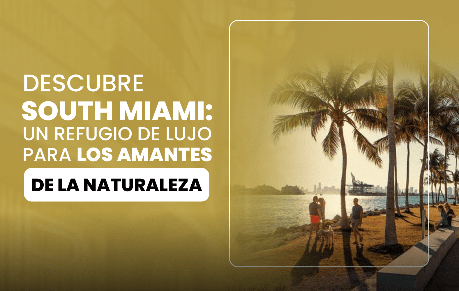 Descubre South Miami: un Refugio de lujo para los amantes de la naturaleza